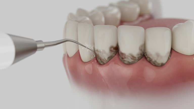 Reliable Dental contractor in Pearl Beach, MI by Dentist Open Now